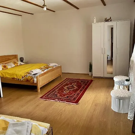 Guest house Casa Mari Cartisoara